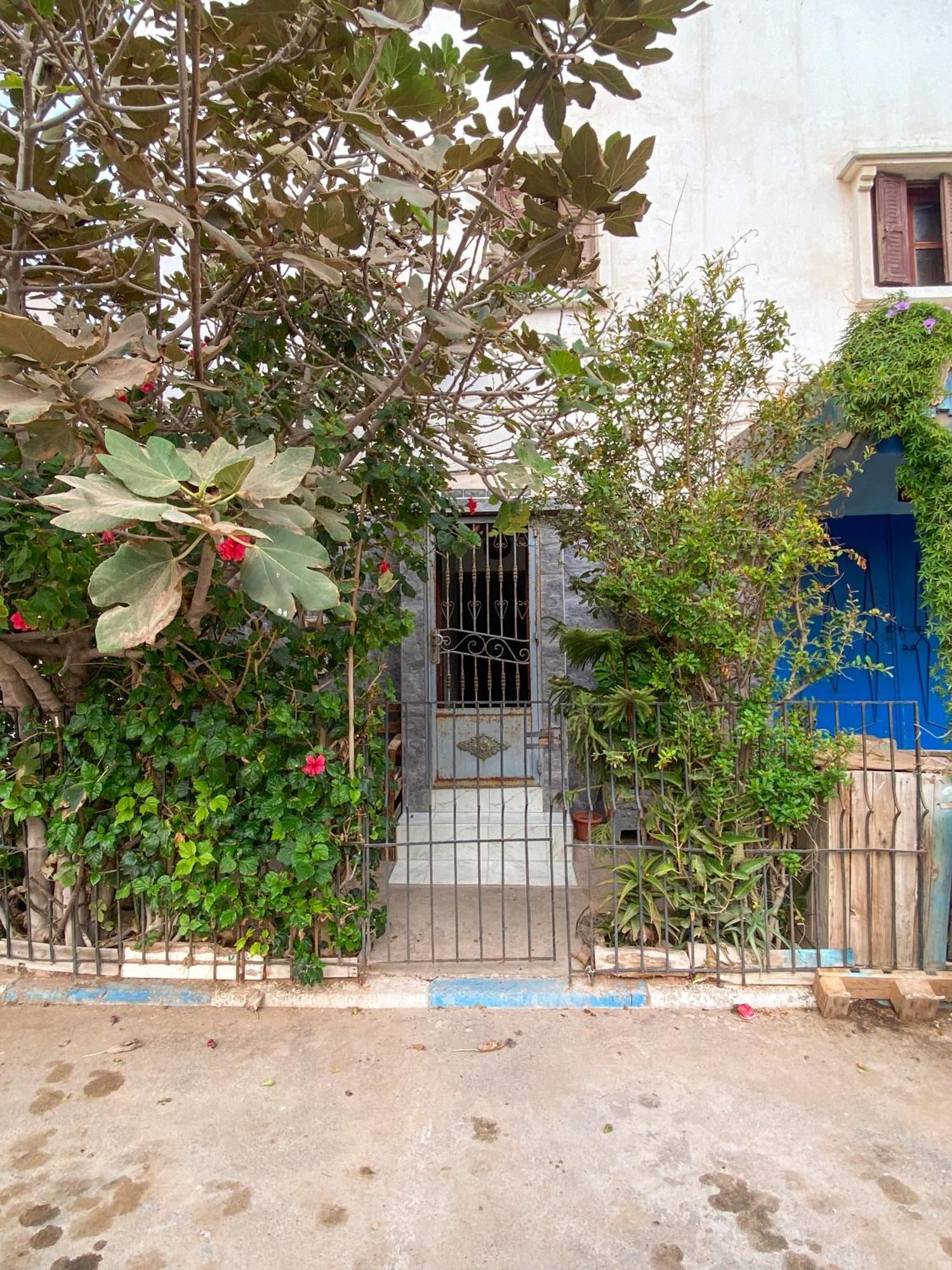 Dallas Private Surf Apartment Αγκαντίρ Εξωτερικό φωτογραφία